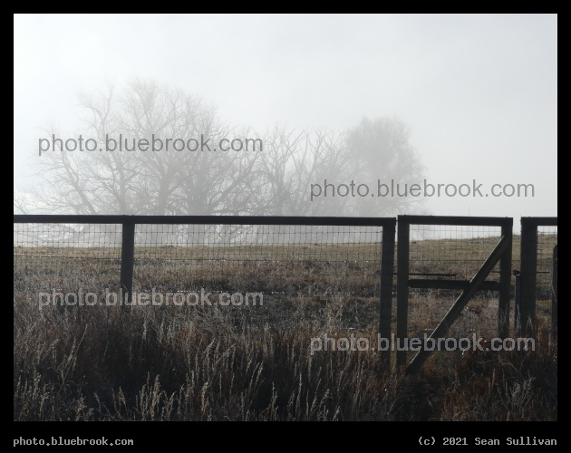 Fence and Mist - Corvallis MT