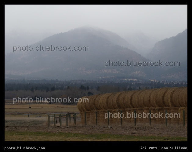 Hay on a Misty Morning - Corvallis MT