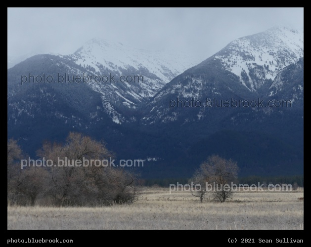 White Capped Indigo Mountains - Mission Mountains, Ninepipe National Wildlife Refuge, Montana