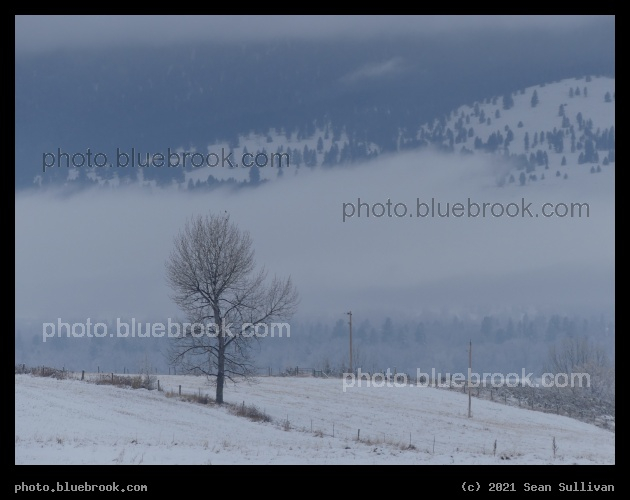 Winter Cloud - Corvallis MT