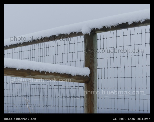 Fence Junction in the Snow - Corvallis MT