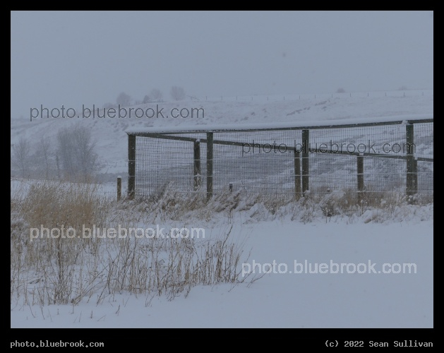 Winter Fence Corner - Corvallis MT