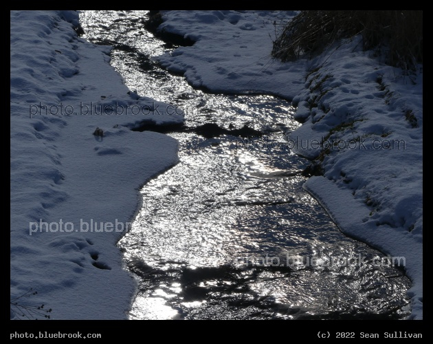 Sun Reflections in a Stream - Corvallis MT