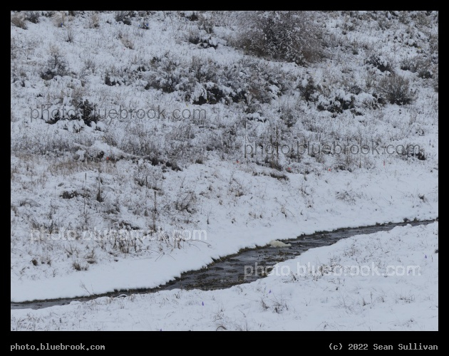 Winter Stream and Slope - Corvallis MT