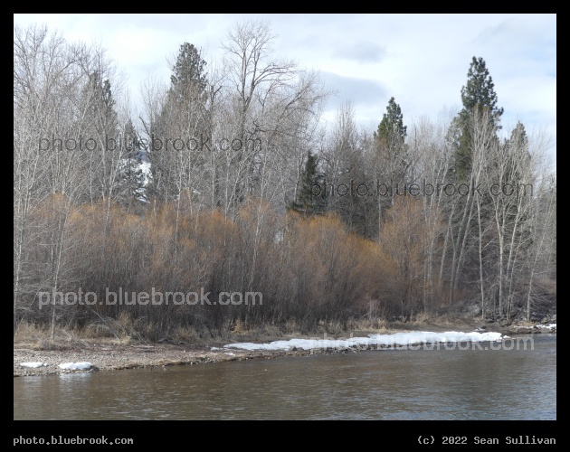 Riverbank at End of Winter - Hamilton MT