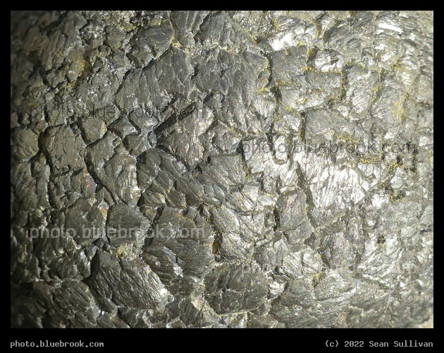 Pyrite Concretion - Corvallis MT