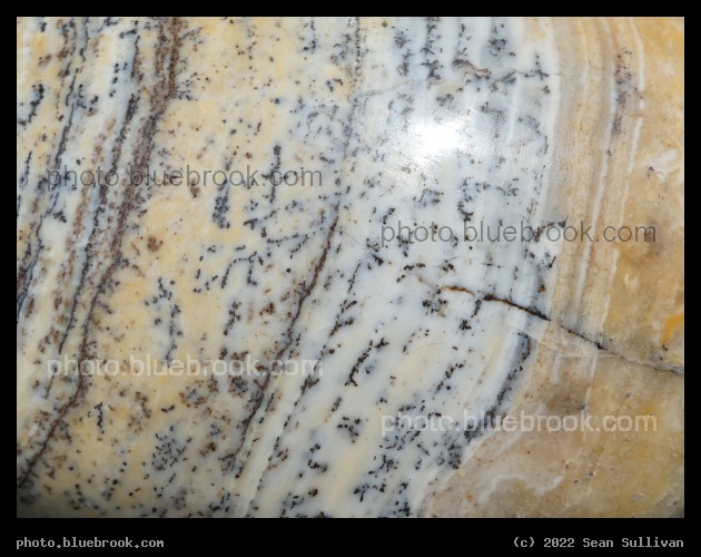 Dendritic Opal Detail - Corvallis MT