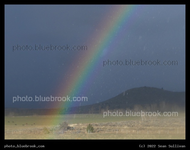 Raindrops in the Rainbow - Corvallis MT