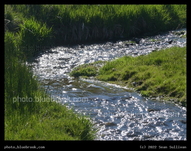 A Bend in the Stream in Springtime - Corvallis MT