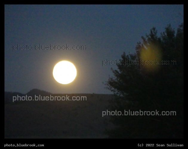 Moonrise at Dusk - Corvallis MT