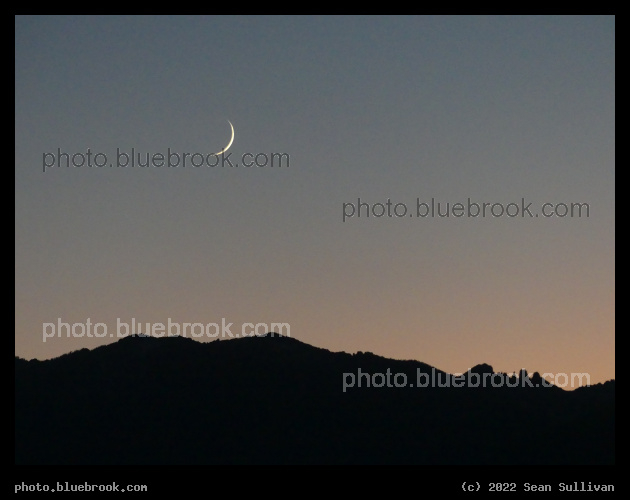 Early Moon - Corvallis MT