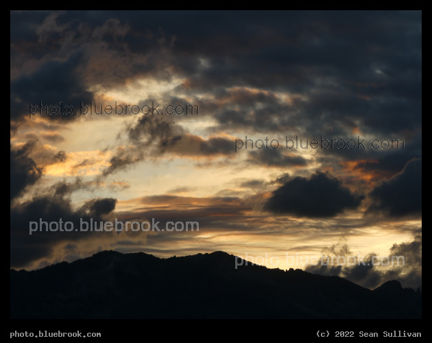 Calico Sky - Corvallis MT