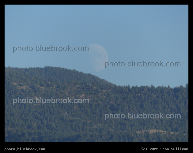 Rising Gibbous Moon - Corvallis MT