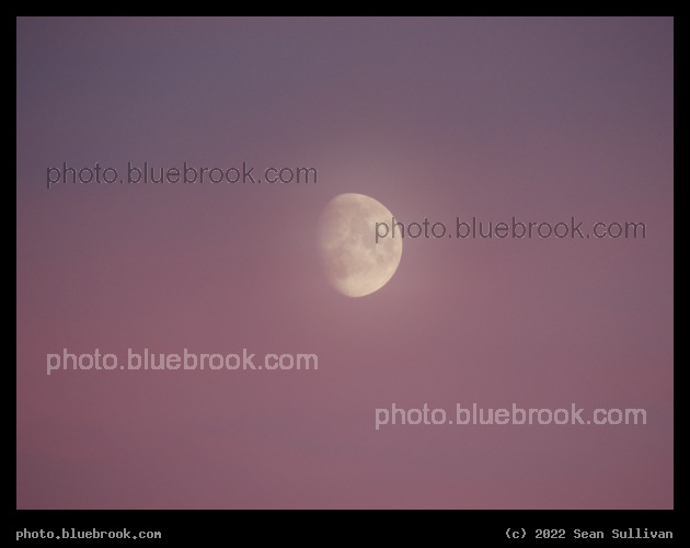 Moon in a Purple Sky - Corvallis MT