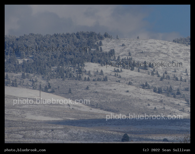 Snowy Vista - Corvallis MT