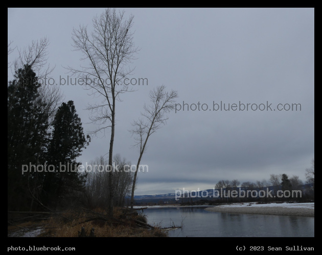 Riverside on a Gray Day - Bitterroot River, Bell Crossing MT