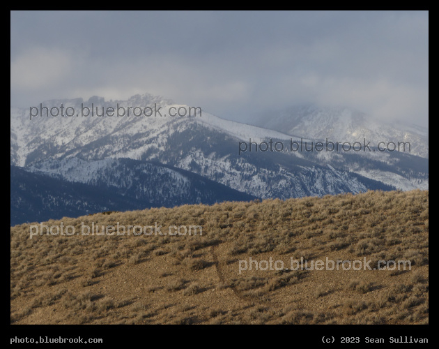 Distant Snowy Peaks - Corvallis MT