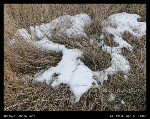 Patches of Snow - Corvallis MT