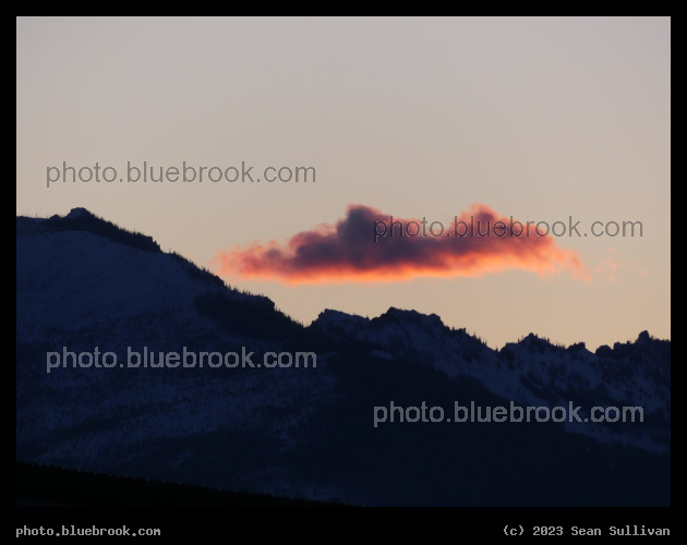 Rosy Cloud - Corvallis MT