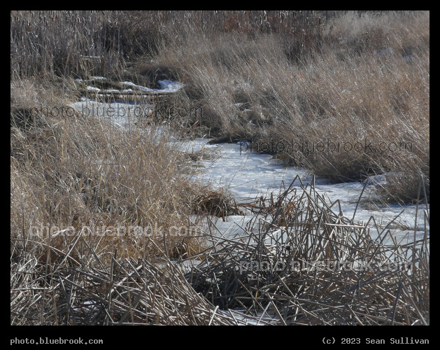Frozen Stream with Grasses - Corvallis MT