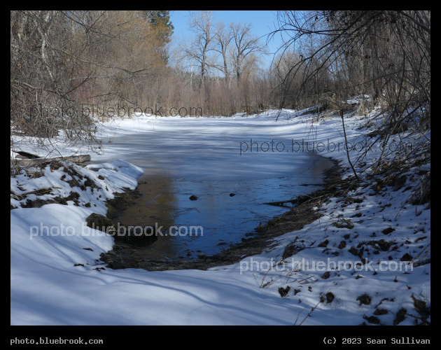 View along a Frozen Pond - Lolo MT
