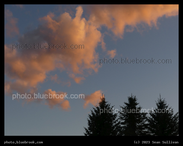 Sunset Clouds and Evergreens - Corvallis MT