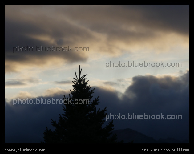 Evergreen Peak Silhouette - Corvallis MT
