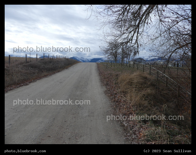 Rural Road in December - Corvallis MT
