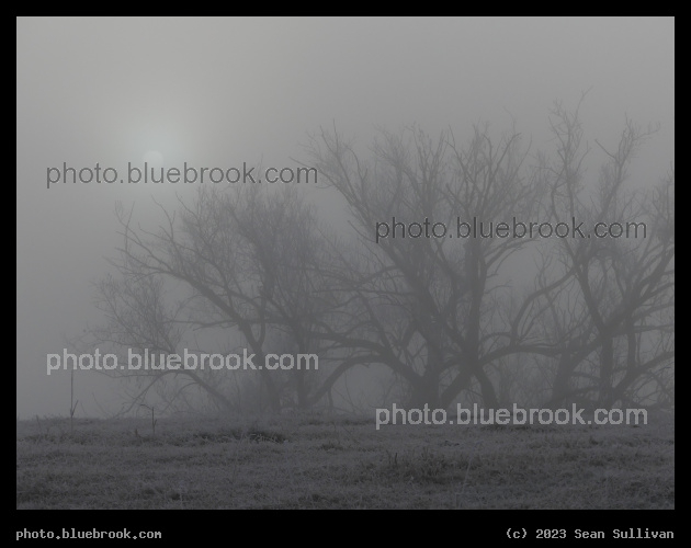 Winter Morning Fog - Corvallis MT