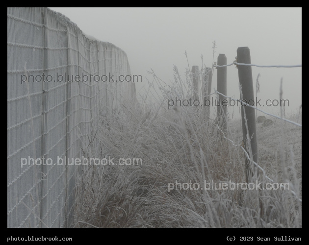 Winter Morning between Fences - Corvallis MT