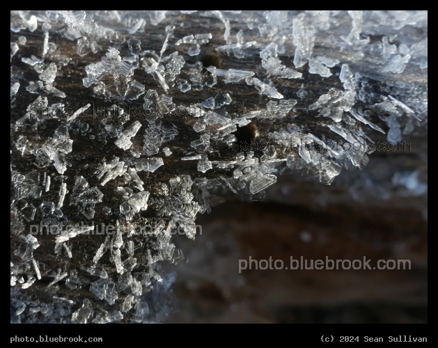 Ice Crystals on Wood - Skalkaho Bend Park, Hamilton MT