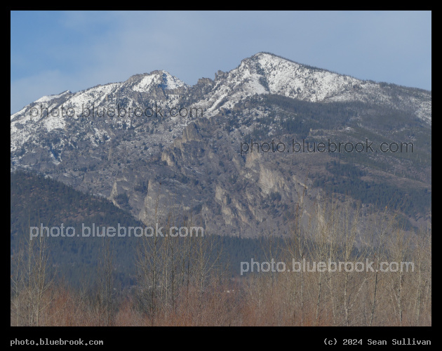 Mountains beyond Winter Trees - Skalkaho Bend Park, Hamilton MT