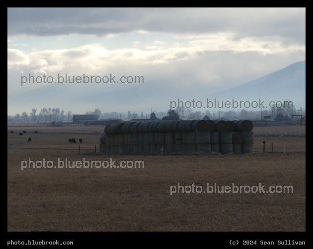 Stacked Hay Cylinders - Corvallis MT