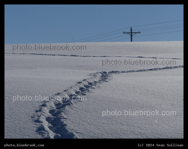 Path in Sunlit Snow - Corvallis MT