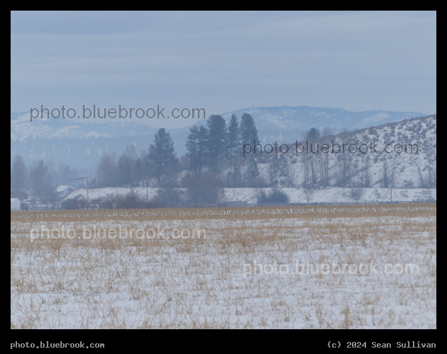 Winter in the Valley - Corvallis MT