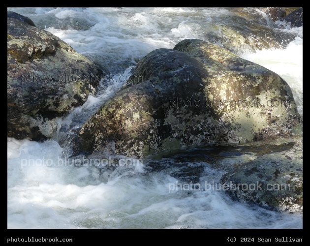 Flowing around a Boulder - Mill Creek, Hamilton MT