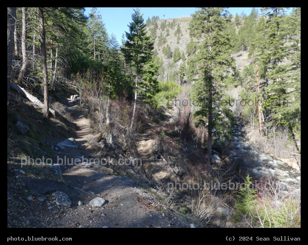 Paths at Different Levels - Mill Creek Trail, Hamilton MT