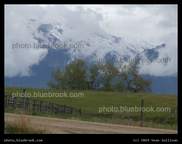 Trees, Clouds, and Mountains - Corvallis MT