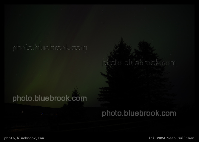 Aurora over Trees - Geomagnetic storm of May 10-11, 2024 from Corvallis MT