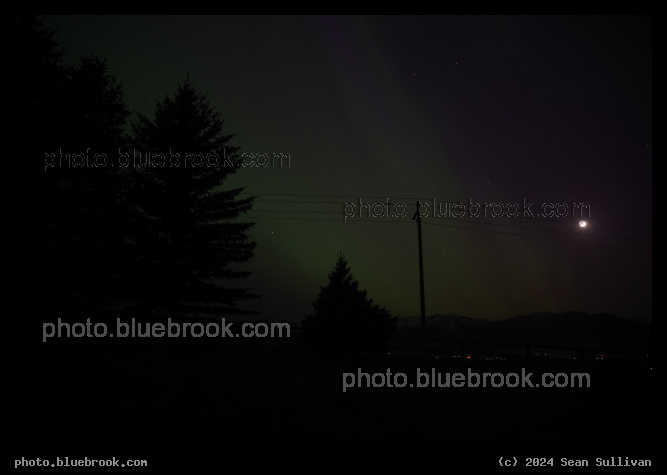 Aurora with the Moon and Trees - Geomagnetic storm of May 10-11, 2024 from Corvallis MT