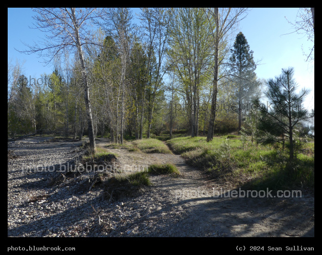 Demmons Paths - Demmons Fishing Access, Hamilton MT