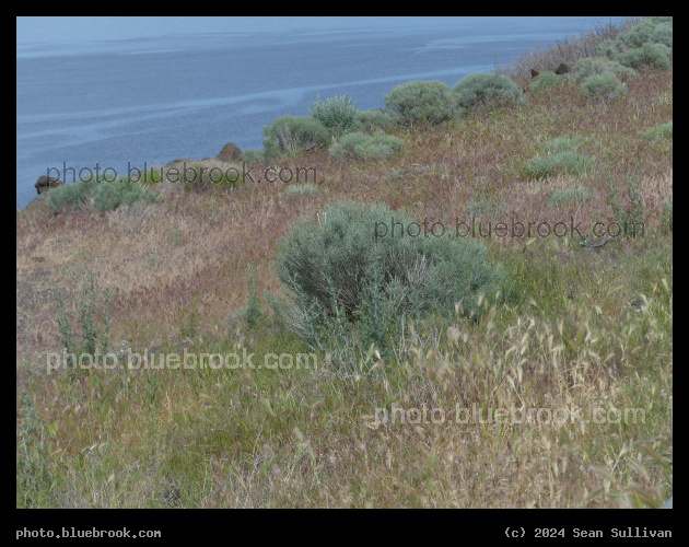 Beside the Columbia River - Columbia River from I-84 Jones Canyon Viewpoint, Arlington OR