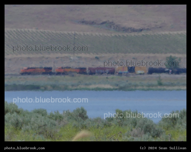 Distant Train - Across the Columbia River, from Boardman OR