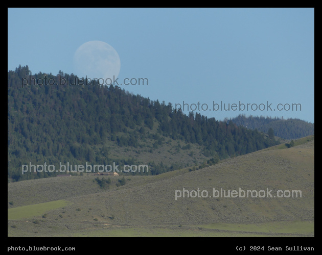 Giant Moon on a Hill - Corvallis MT