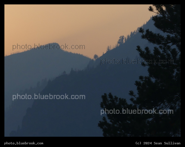 Trees and Mountains at Sunset - Stevensville MT