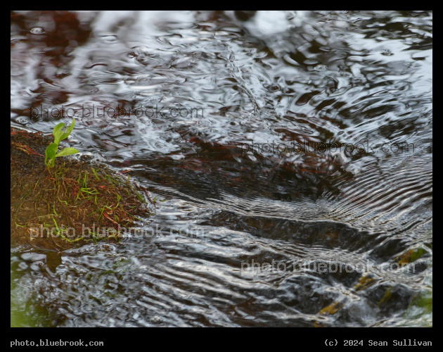 Dusk Ripples - Corvallis MT