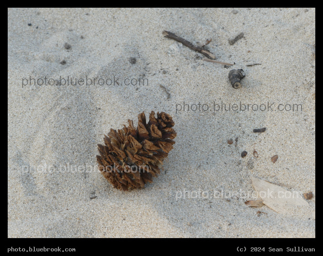 Cone on the Sand - Victor Crossing, MT