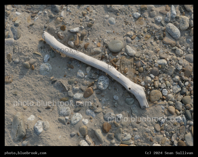 Driftwood on a River Beach - Bitterroot River, Victor Crossing, MT