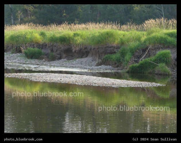 Grass on the Riverbank - Victor Crossing, MT