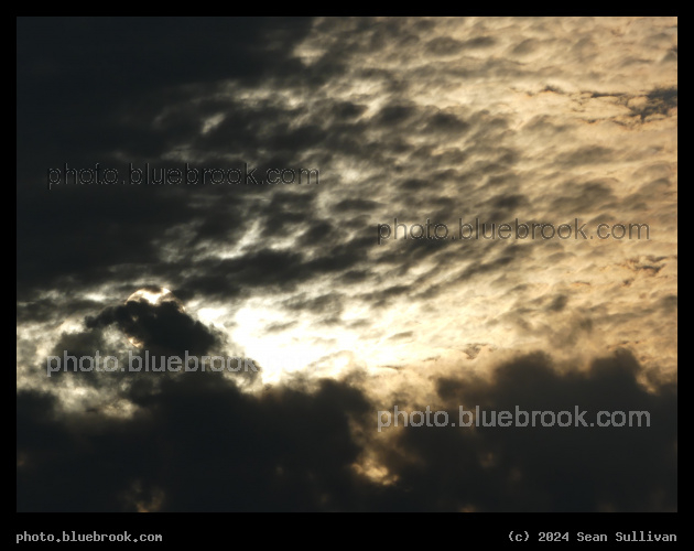 Sun in a Dotted Sky - Corvallis MT